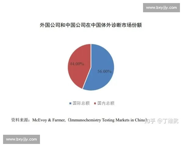 黑马崛起背后的时代机遇与创新力量重塑行业格局之路发展新篇章